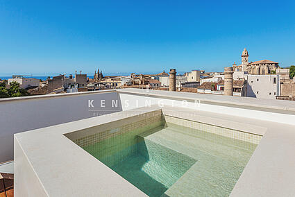 Rooftop terrace / pool