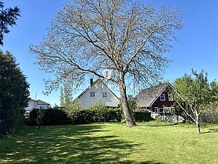 Garten hinten 
