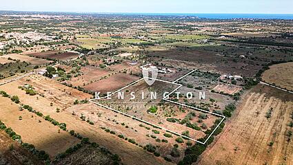 KPSO598_birdseye-marked