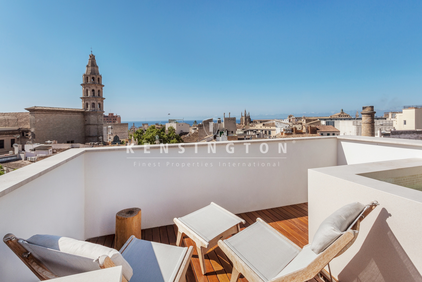 Rooftop terrace / pool