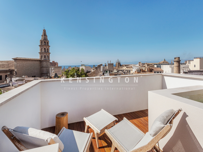 Rooftop terrace / pool