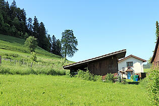 KZO00014 4.5 Zimmer Einfamilienhaus in Bäretswil - Kleintierstall