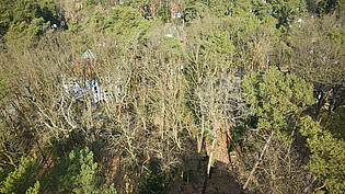 DJI_0099