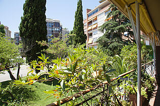 Vista Terraza Jardin