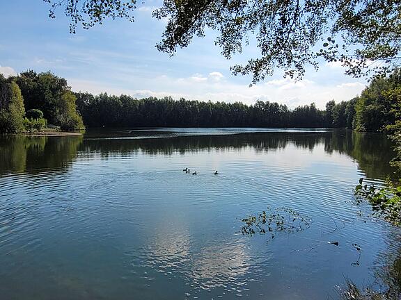 Seeansicht Seeansicht