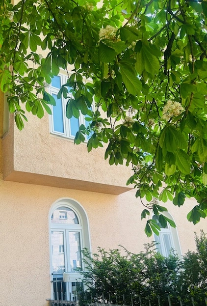 Hausansicht    