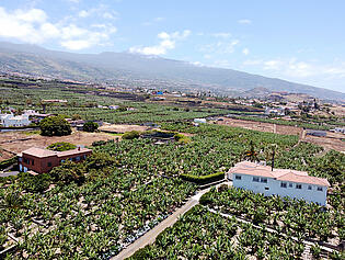 DJI_0485 (1)