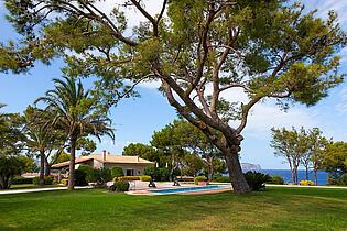 IMG_0976r