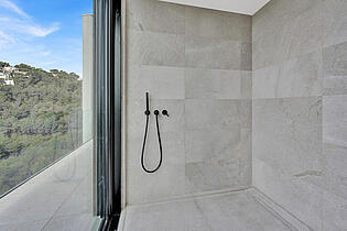 Shower Master Bathroom