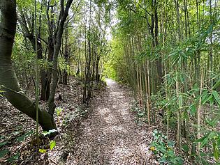 IMG_9938