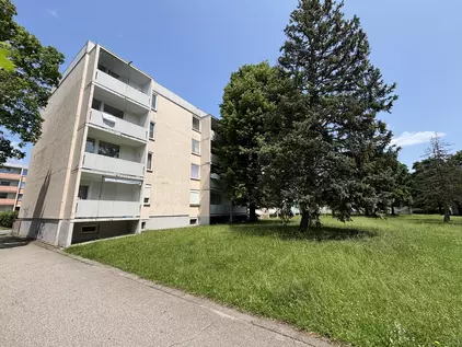 Außenansicht Hinten