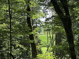 Blick auf die Umgebung 