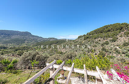 Finca in Sóller Bergblick