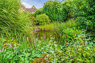 Gartenteich