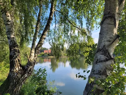 Seesicht