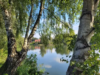 Seesicht