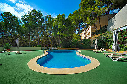 3. Pool in Cas Catala