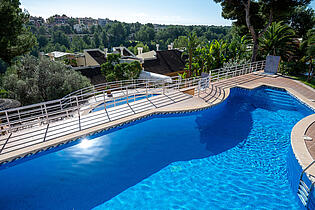 Community pool 2