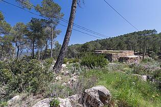 KPI1385 Finca en venta - Finca zu verkaufen - Finca for sale - Finca te koop - www.kensington-ibiza.com - Noelle Politiek