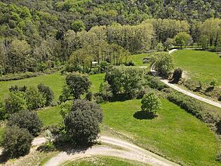 dji_fly_20240412_141836_852_1712924326524_photo