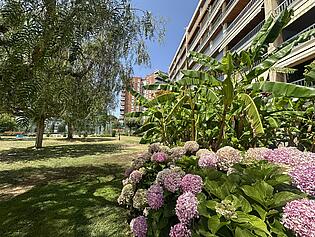 IMG-0921