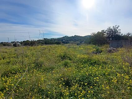 KPI1391 - Terreno en venta - Grundstück zu verkaufen - Plot for sale - Plot te koop - www.kensington-ibiza.com - Noelle Politiek