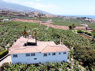 DJI_0487 (1)