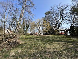 IMG_8578