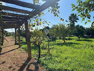 KPI1039 - Finca en venta - Finca zu verkaufen - Finca for sale - Finca te koop -