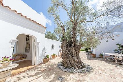 KPI1379 - Finca en venta - Finca zu verkaufen - Finca for sale - Finca te koop -