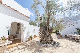 KPI1379 - Finca en venta - Finca zu verkaufen - Finca for sale - Finca te koop -