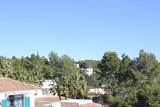 IMG 0091