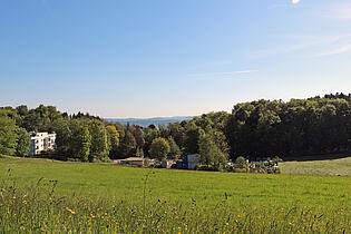Blick Richtung Greifensee