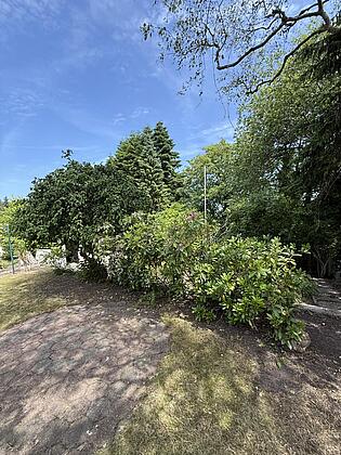 IMG_9479