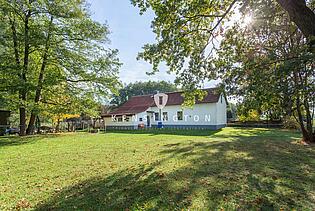 Garten Rückseite Blick auf's Haus