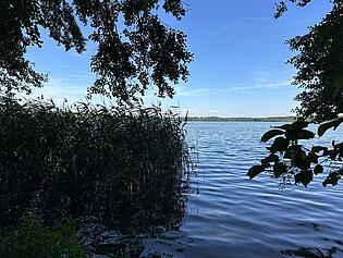 Blick auf den See