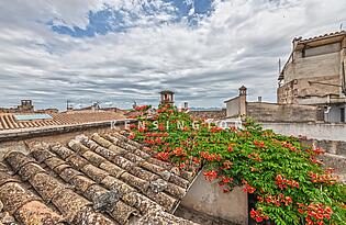 View rooftop