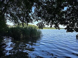 Blick auf den See