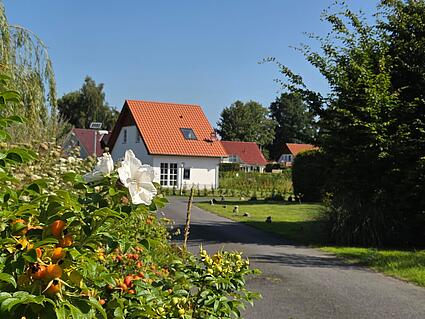 Ansicht