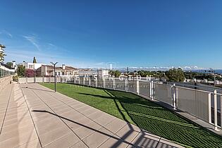 Sundeck above pool