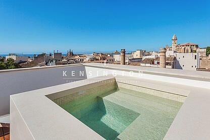 Rooftop terrace / pool