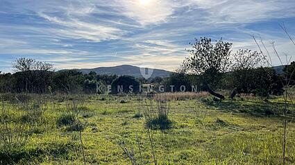 KPI1059 - Terreno en venta - Grundstück zu verkaufen - Plot for sale - Plot te koop - www.kensington-ibiza.com - Noelle Politiek