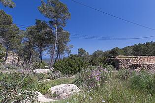 KPI1385 Finca en venta - Finca zu verkaufen - Finca for sale - Finca te koop - www.kensington-ibiza.com - Noelle Politiek