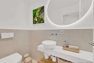 Guest toilet