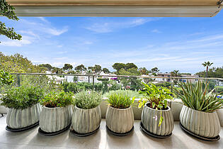 Apartment Sol de Mallorca  17