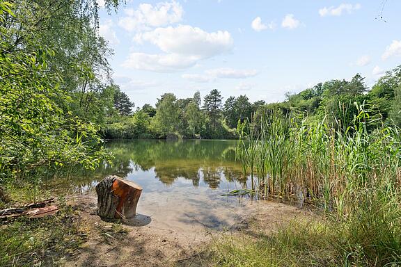 See am Grundstück See am Grundstück