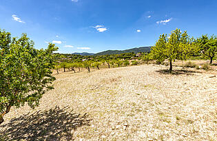 Villa-Establiments-Garten