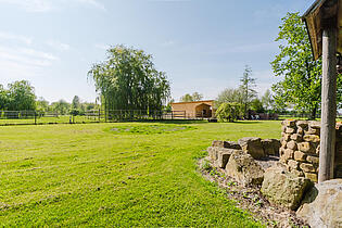 Blick in den Garten
