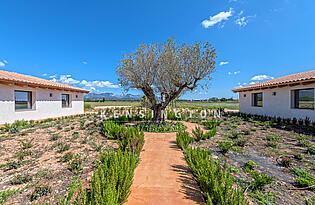 Finca in Santa Maria ,Mallorca - garten 