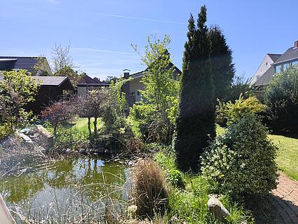 Garten mit Teich